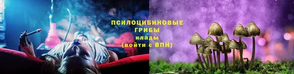 а пвп мука Медвежьегорск