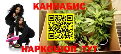 хмурый Гатчина