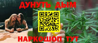 амф Гай