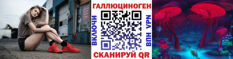 купить закладку  Кызыл  Галлюциногенные грибы GOLDEN TEACHER 