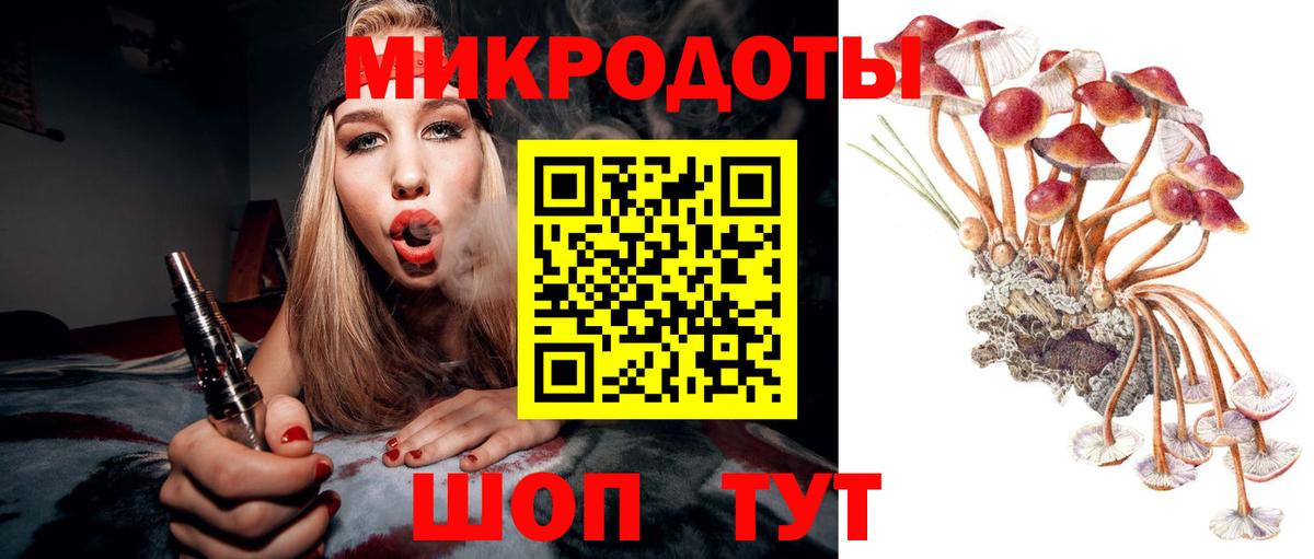 Кызыл  Псилоцибиновые грибы Cubensis  Вход с VPN  купить   Псилоцибиновые грибы мухоморы 